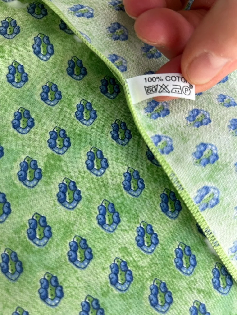 French Provencal purchased in Paris blue green 6 cotton Block Print napkins NEW